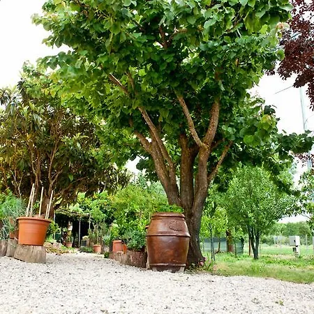 Alloggio per agriturismo La Nostra Maremma Manciano